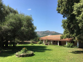 Agriturismo Su Pirastru